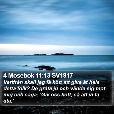 4 Mosebok 11:13 SV1917 Bible Verse Image