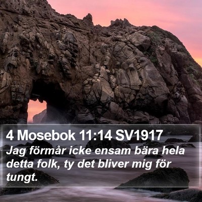 4 Mosebok 11:14 SV1917 Bible Verse Image