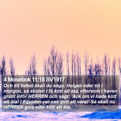 4 Mosebok 11:18 SV1917 Bible Verse Image