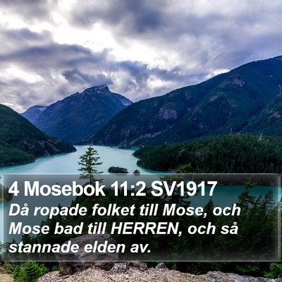 4 Mosebok 11:2 SV1917 Bible Verse Image