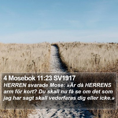 4 Mosebok 11:23 SV1917 Bible Verse Image