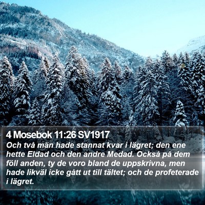 4 Mosebok 11:26 SV1917 Bible Verse Image