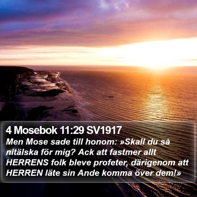 4 Mosebok 11:29 SV1917 Bible Verse Image