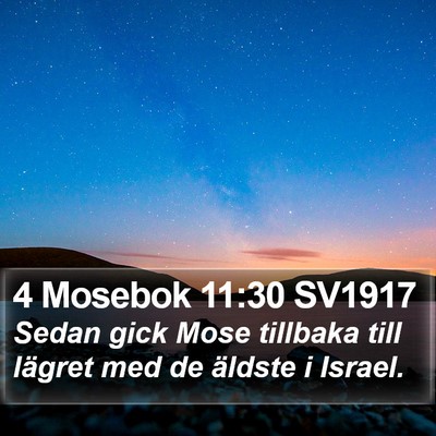 4 Mosebok 11:30 SV1917 Bible Verse Image