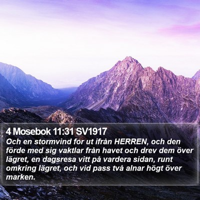 4 Mosebok 11:31 SV1917 Bible Verse Image