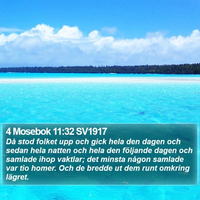 4 Mosebok 11:32 SV1917 Bible Verse Image