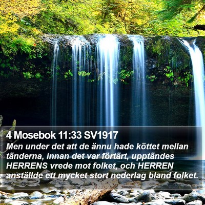 4 Mosebok 11:33 SV1917 Bible Verse Image