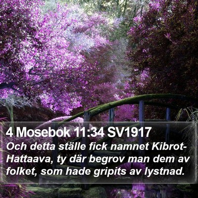 4 Mosebok 11:34 SV1917 Bible Verse Image