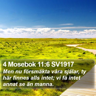 4 Mosebok 11:6 SV1917 Bible Verse Image