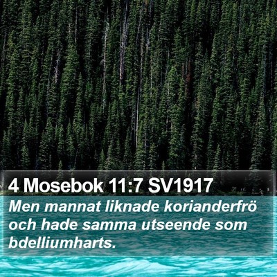 4 Mosebok 11:7 SV1917 Bible Verse Image