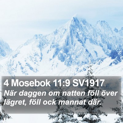 4 Mosebok 11:9 SV1917 Bible Verse Image