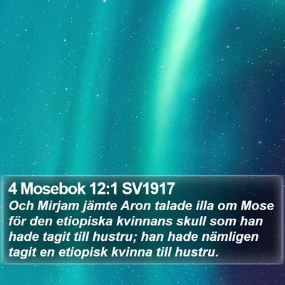4 Mosebok 12:1 SV1917 Bible Verse Image