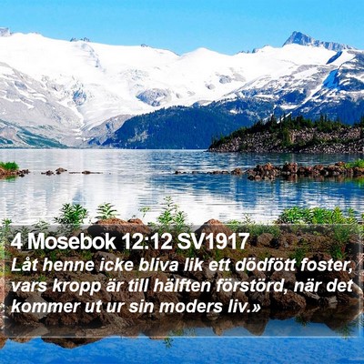 4 Mosebok 12:12 SV1917 Bible Verse Image