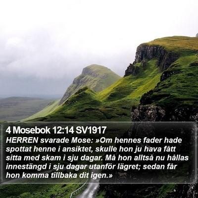 4 Mosebok 12:14 SV1917 Bible Verse Image