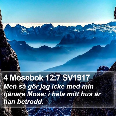 4 Mosebok 12:7 SV1917 Bible Verse Image
