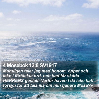 4 Mosebok 12:8 SV1917 Bible Verse Image