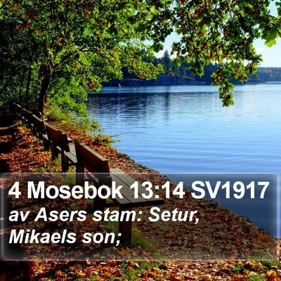 4 Mosebok 13:14 SV1917 Bible Verse Image
