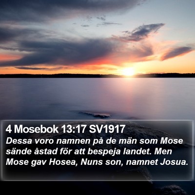 4 Mosebok 13:17 SV1917 Bible Verse Image