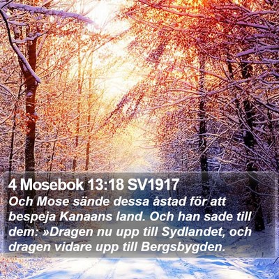 4 Mosebok 13:18 SV1917 Bible Verse Image