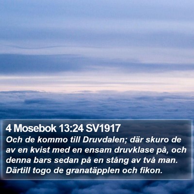 4 Mosebok 13:24 SV1917 Bible Verse Image