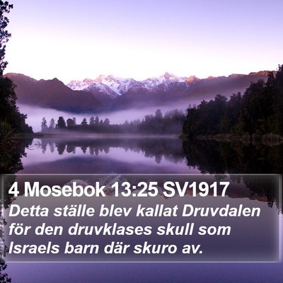 4 Mosebok 13:25 SV1917 Bible Verse Image