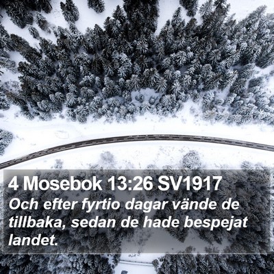 4 Mosebok 13:26 SV1917 Bible Verse Image