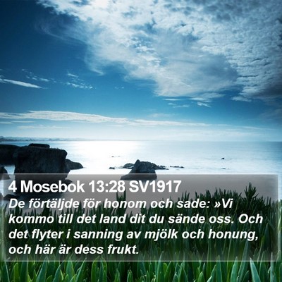 4 Mosebok 13:28 SV1917 Bible Verse Image