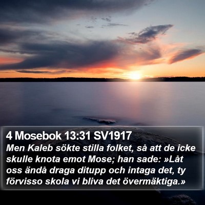 4 Mosebok 13:31 SV1917 Bible Verse Image