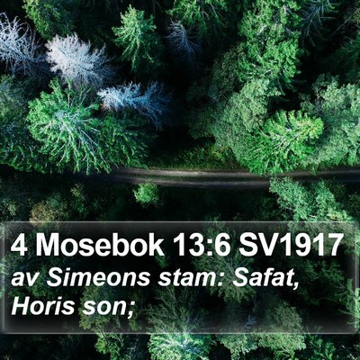 4 Mosebok 13:6 SV1917 Bible Verse Image