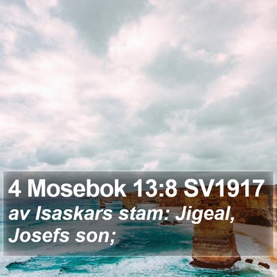 4 Mosebok 13:8 SV1917 Bible Verse Image