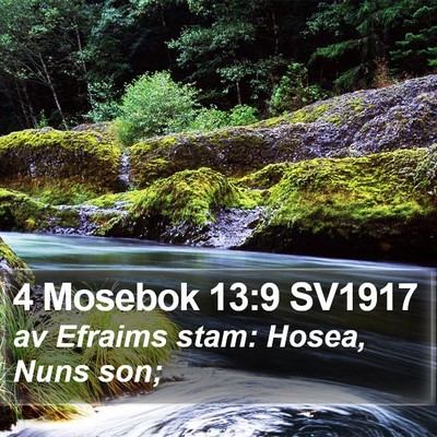 4 Mosebok 13:9 SV1917 Bible Verse Image