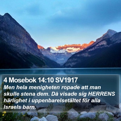 4 Mosebok 14:10 SV1917 Bible Verse Image