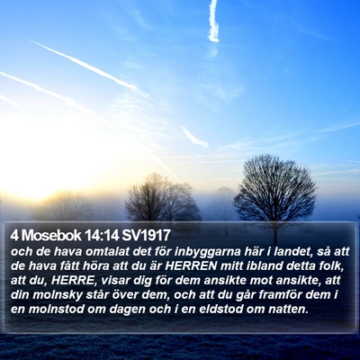 4 Mosebok 14:14 SV1917 Bible Verse Image