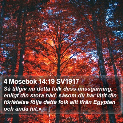 4 Mosebok 14:19 SV1917 Bible Verse Image