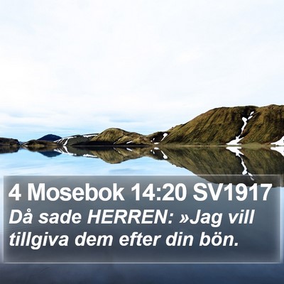 4 Mosebok 14:20 SV1917 Bible Verse Image