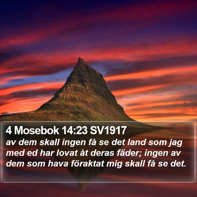4 Mosebok 14:23 SV1917 Bible Verse Image