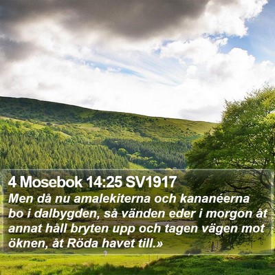 4 Mosebok 14:25 SV1917 Bible Verse Image