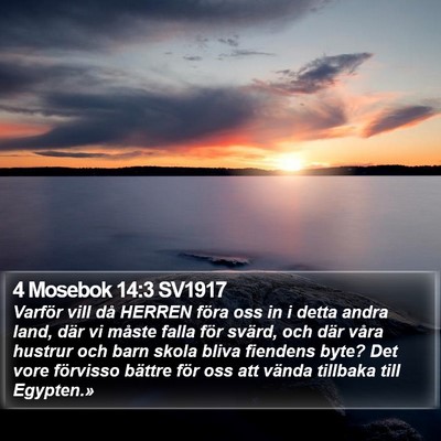 4 Mosebok 14:3 SV1917 Bible Verse Image