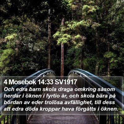 4 Mosebok 14:33 SV1917 Bible Verse Image