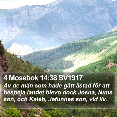 4 Mosebok 14:38 SV1917 Bible Verse Image