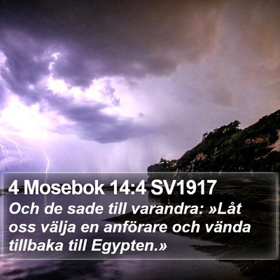 4 Mosebok 14:4 SV1917 Bible Verse Image