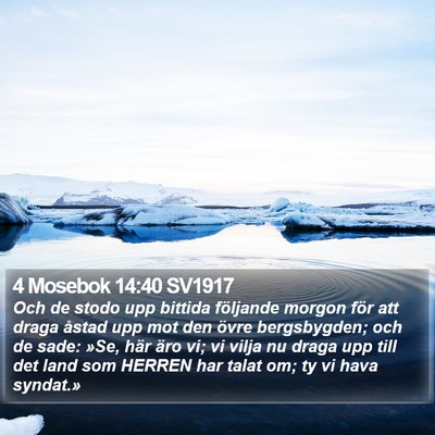 4 Mosebok 14:40 SV1917 Bible Verse Image