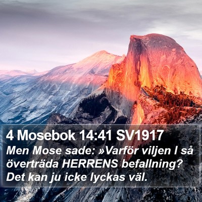 4 Mosebok 14:41 SV1917 Bible Verse Image
