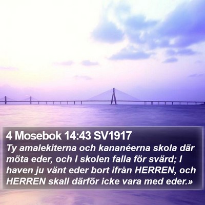 4 Mosebok 14:43 SV1917 Bible Verse Image