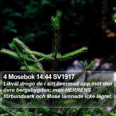 4 Mosebok 14:44 SV1917 Bible Verse Image