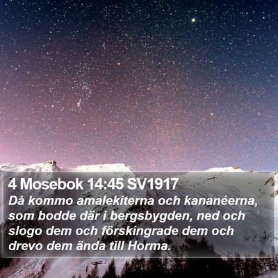 4 Mosebok 14:45 SV1917 Bible Verse Image