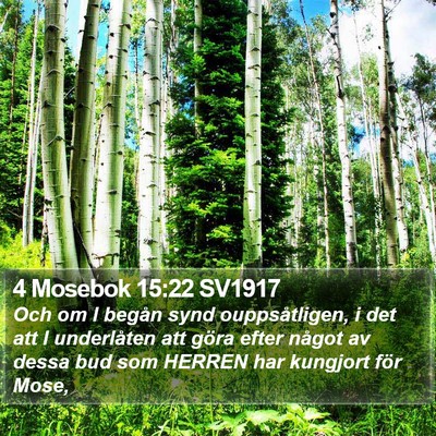4 Mosebok 15:22 SV1917 Bible Verse Image