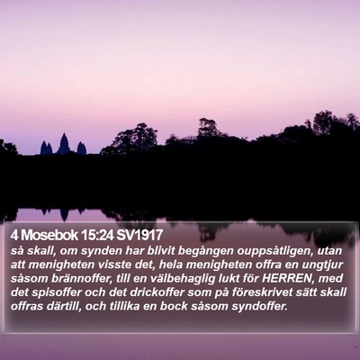 4 Mosebok 15:24 SV1917 Bible Verse Image