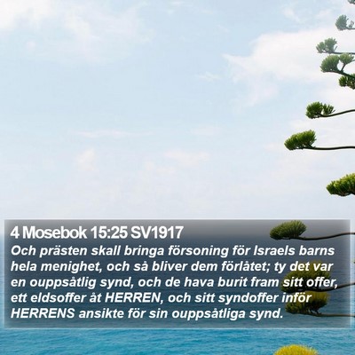 4 Mosebok 15:25 SV1917 Bible Verse Image