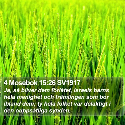 4 Mosebok 15:26 SV1917 Bible Verse Image